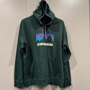 Patagonia PolyCycle Hoody Forest Green Sz XL 39554 Pullover Mens